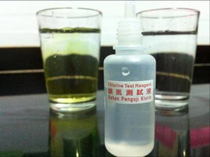 科士威 解讀其模式、現狀與加入方式